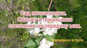 Сад пенсионерки.