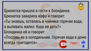 #анекдоты #юмор #Вирус #Тренды #Развлечения #Смешно #смешныеанекдоты