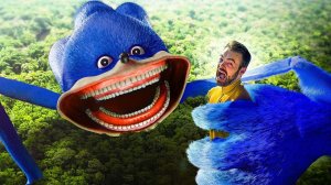 Происхождение пленок Shin Sonic