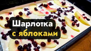 Классический рецепт шарлотки в духовке - пышная шарлотка с яблоками и брусникой