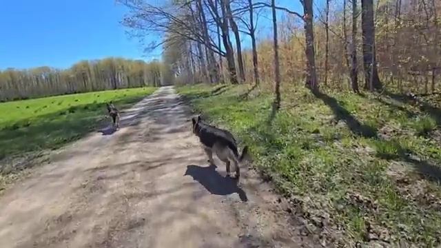 Сельчанка в Америке СРОЧНО ЕДУ В БАСЕЙН