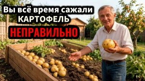 Как посадить картофель картошку СКРЫВАЛИ от ВАС 30 лет! Как выращивать картофель с большим урожаем.