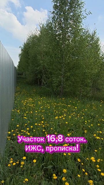 Продам участок 16,8 соток.
ИЖС, прописка!

Село Михайловское, г.о. Домодедово, Московская обл.