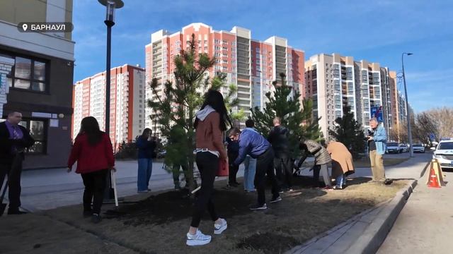 Аллея добра: в Барнауле восстановили спиленные вандалами сосны смотреть онлайн