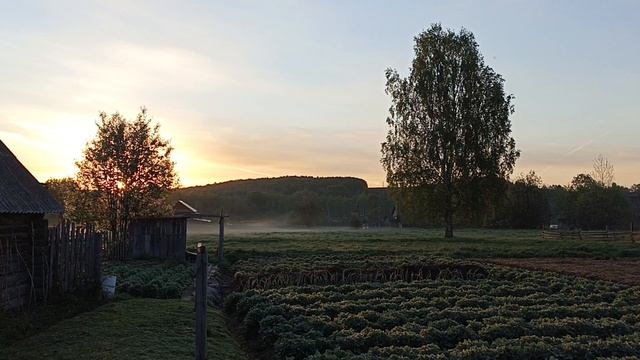 Раннее утро в деревне. смотреть онлайн