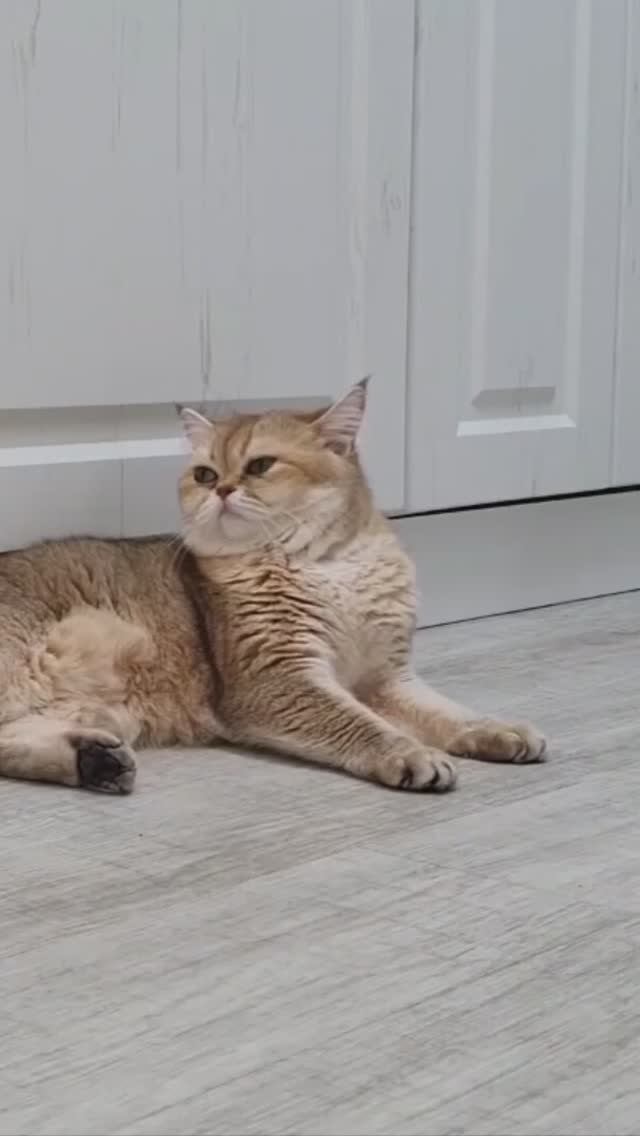 🤗 смотреть онлайн
