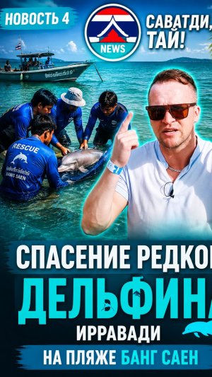 В ТАИЛАНДЕ СПАСАЛИ ДЕТЁНЫША РЕДКОГО ДЕЛЬФИНА