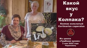 Какой вкус у Колпака?... Колпак кольчатый - Cortinarius caperatus. «Грибная кухня» 2 мая 2022 года.