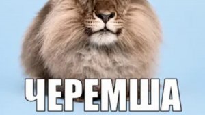 умний стрим как и я 2 част