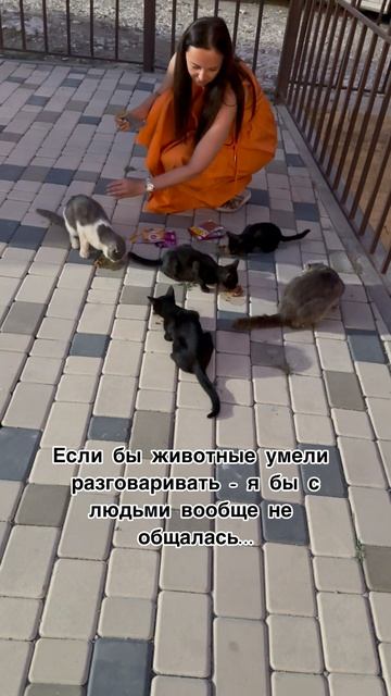 Если бы...