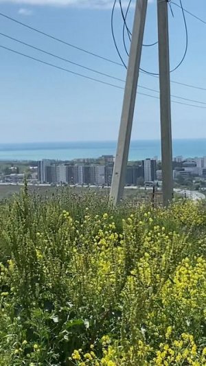 Анапа строительство нового района🏗️  #анапа  #недвижимостьнаюге #недвижимость