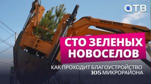 Сто зеленых новоселов. Как проходит благоустройство 105 микрорайона