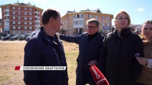 Вместо гаражей – аллея из сосен