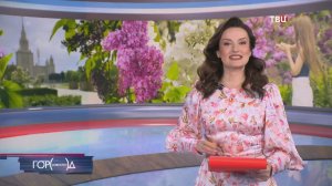 Многолетняя рана и мелкое хулиганство: почему нельзя рвать сирень в городе