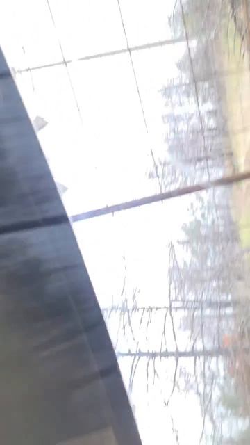 От Амира.