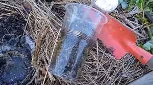 Что я добавляю в лунки, чтобы получить хороший урожай томатов