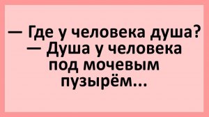 Вовочка, а где у человека душа?... | Анекдоты смешные | Юмор