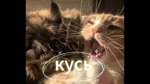 песенка с гигачатом. КУСЬ!