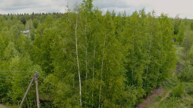 СНТ Радуга Выборгского района смотреть онлайн