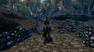 Elder Scrolls V Skyrim  Relaxing Soundtrack and Ambience (Riding on Horseback to Riften)