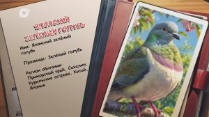 Агент биосферы / Японский зелёный голубь / 18.05.26