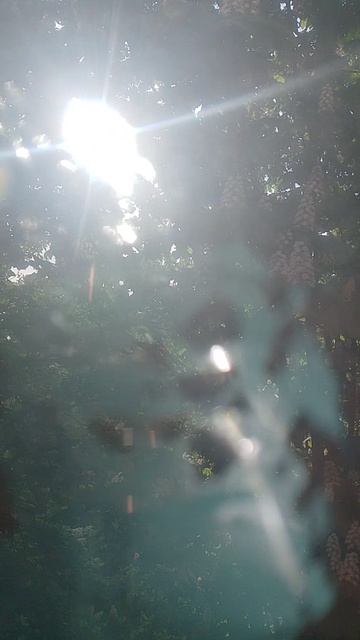 VID_20260518_072318