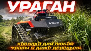 Ураган который косит все подряд! От травы до деревьев: Все серьезно