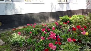 Майский репортаж. Съёмка Эллы Крыловой.