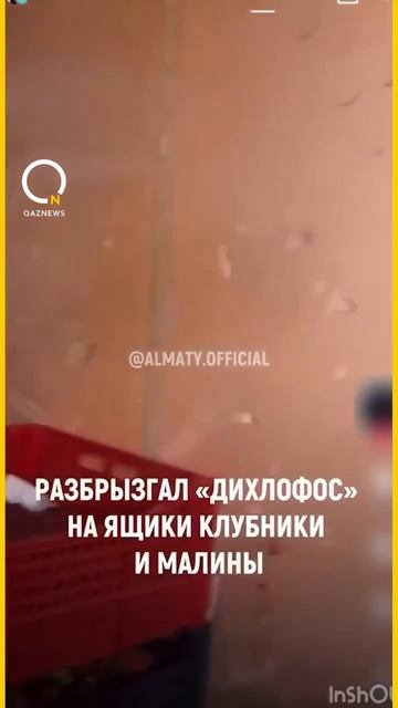 🍎 Почему одной воды недостаточно: как глубокая очистка продуктов меняет всё