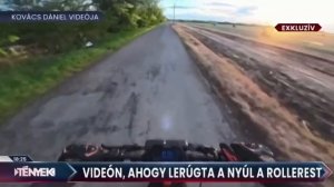 Новости из параллельной вселенной Венгрии — там заяц сбил самокатчика. 

Мужчину спасла экипировка.