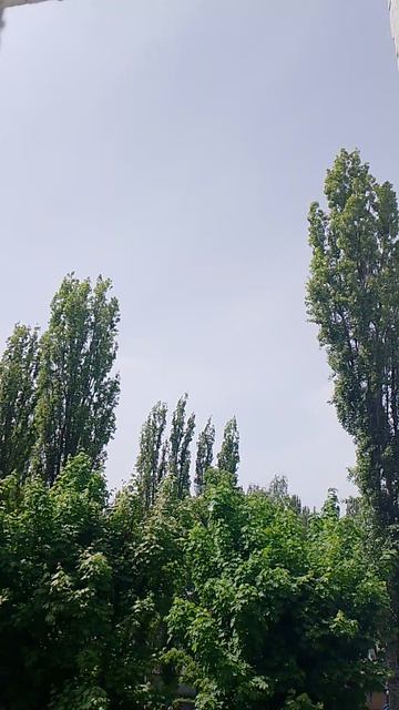 VID_20260518_134457