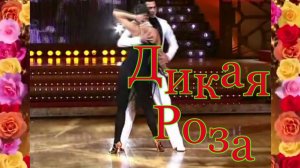 DiMarush Дикая Роза 🌺 ♠ ♥ 🎼 💃