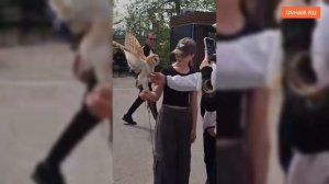 Сов на поводках выгуливают в центре города