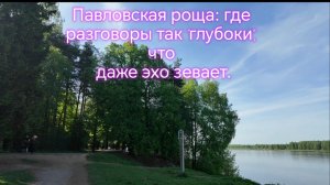 Павловская роща: где разговоры так «глубоки», что даже эхо зевает.