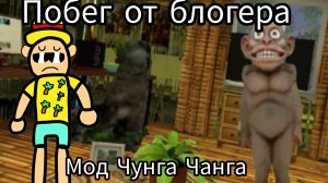Побег от блогера мод Чунга Чанга
