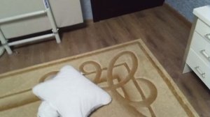 Хоррор игра 5 ночей с хаски ночь 1 разогрев перед настоящим кошмаром!