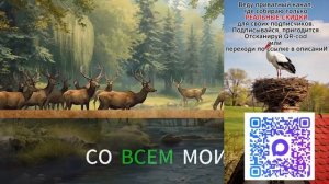 ВСТРЕЧА С ПРОШЛЫМ — История любви, предательства и силы женщины
