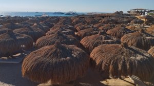 Хургада, Захабия. Коралловые рифы Красного моря