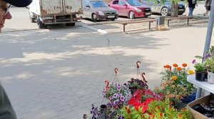 РАБОТА В ОГОРОДЕ/В СВЕТОФОРЕ КУПИЛИ САДОВЫЙ ДОРОЖКИ/СДЕЛАЛИ ЗАПАС.