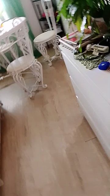 1000003735.mp4