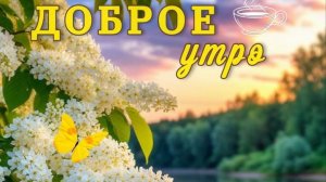 Доброе утро! Отличного дня! Самая лучшая музыкальная открытка.