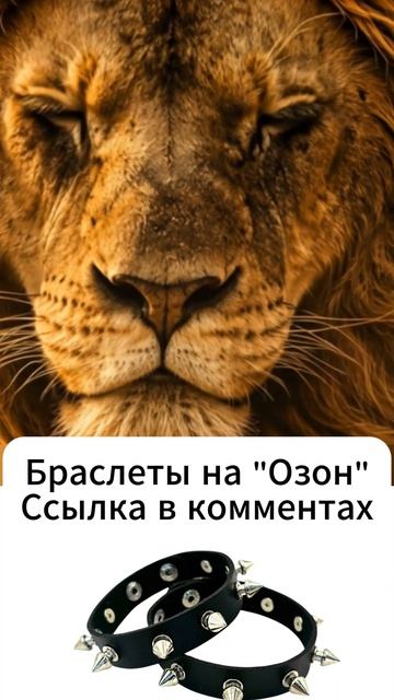 Enigma Lion • Desert Storm