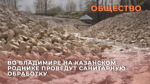 Казанский родник во Владимире обработают от крыс после жалоб жителей