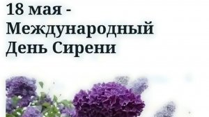 День сирени.