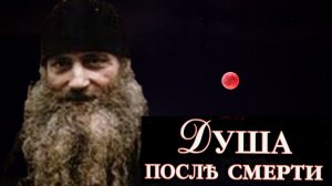 СУЩЕСТВА,ГОВОРЯЩИЕ С ЛЮДЬМИ- ДЕМОНЫ,КАК- БЫ ОНИ НЕ СКРЫВАЛИСЬ ПОД МАС4ОЙ УМЕРШИХ ДУШ.СЕРАФИМ РОУЗ