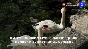 В Алупкинском музее-заповеднике провели акцию «Ночь музеев»