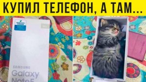 Купил телефон, а там... КОТ!!!) Приколы