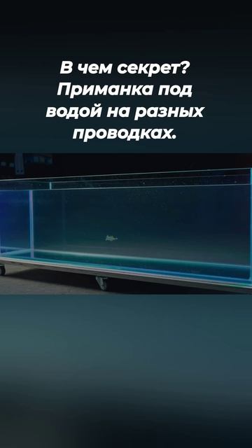 В чем секрет? Приманка под водой на разных проводках.