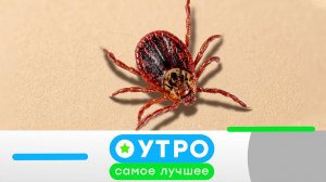 «Утро. Самое лучшее». 18 мая 2026 года