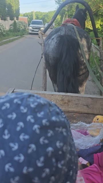 Приехали в город на седой кобыле